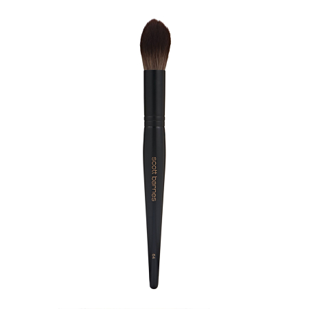 Pro Series Brushes #64 The Highlighter