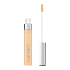 L'oreal True Match The One Concealer 1n