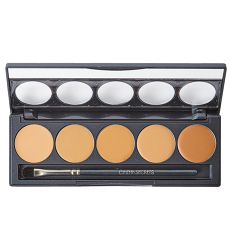 Ultimate Foundation 5 In 1 Pro Palette 300 Series