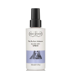 The Perfect Blow Dry Makeover Spray