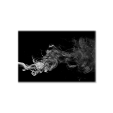 Smokey Noir Printed Acrylic Art