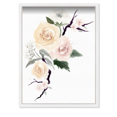 Soft Peach Blossoms Watercolor Framed Print