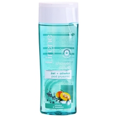 Shower Olive Refreshing Shower Gel With Moisturising Effect Mango Wax 250 Ml