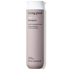 No Frizz Shampoo