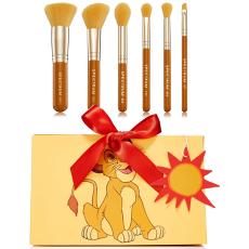 Simba 6-piece Giftable Brush Set