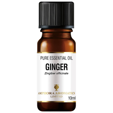 Amphora Aromatics Ginger Essential Oil